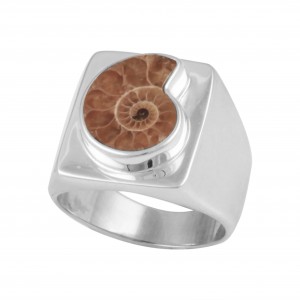 Ammonite Men's Ring