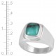 Blue Opal Fossil Wood Ring