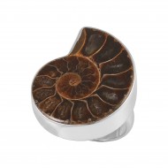 Ammonite Ring