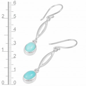 Amazonite Earrings