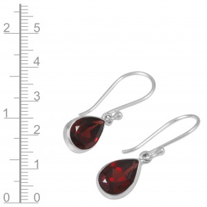 Garnet Earrings