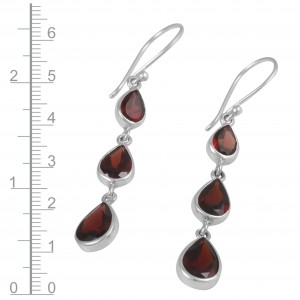 Garnet Earrings